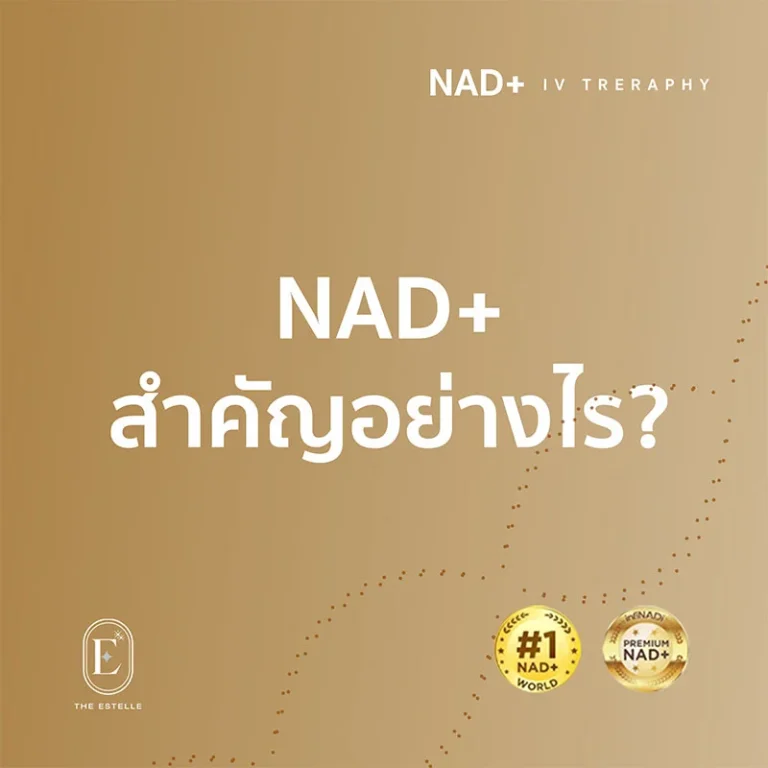 article nad+_0002_NAD+สำคัญอย่างไร_