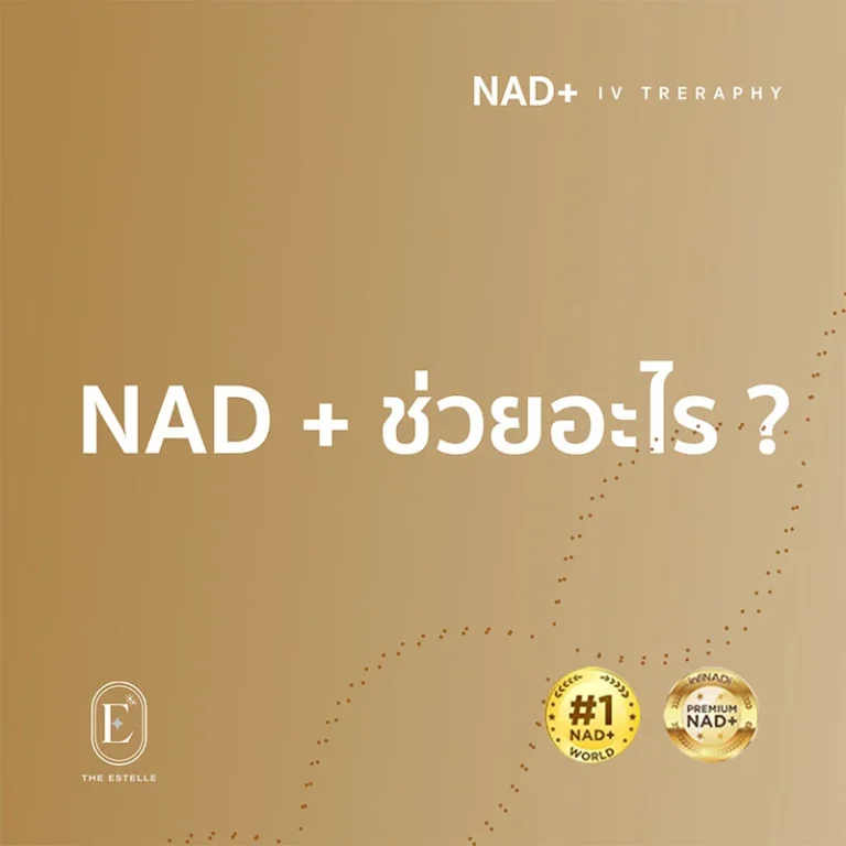 article nad+_0006_NAD + ช่วยอะไร _
